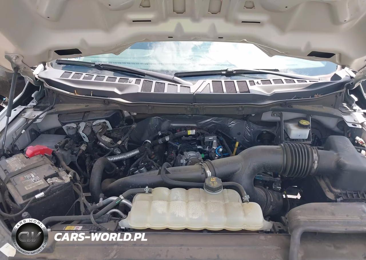 2021 Ford F-150 Xl VIN:1FTEW1CP9MKD89007 - 10