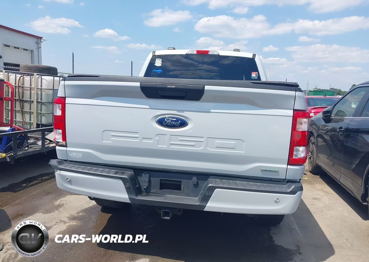 2021 Ford F-150 Xl VIN:1FTEW1CP9MKD89007 - 16