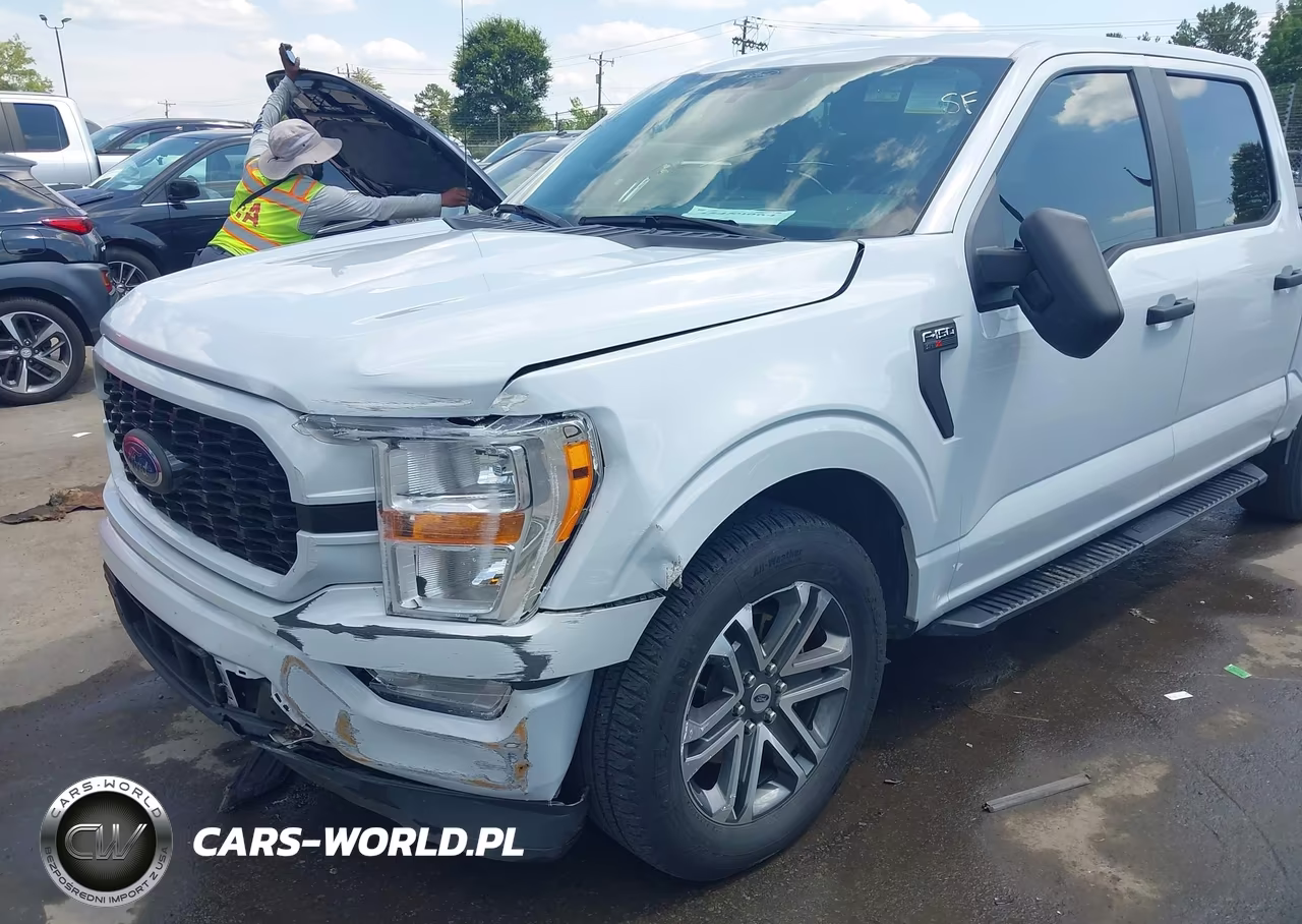 2021 Ford F-150 Xl VIN:1FTEW1CP9MKD89007 - 17