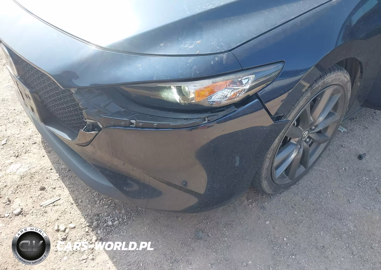 2019 Mazda Mazda3 Preferred Package VIN:JM1BPBMM5K1136487 - 17