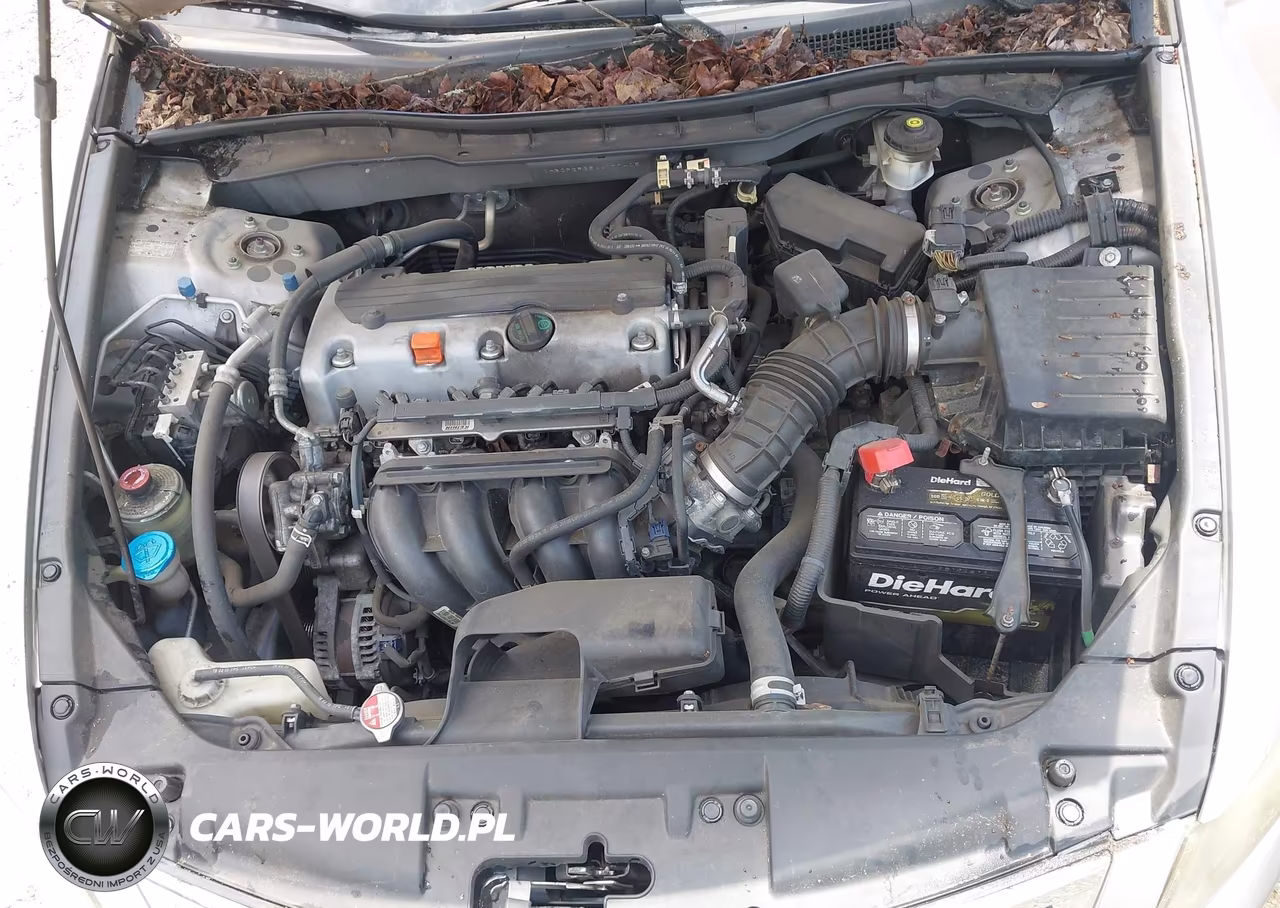 2010 Honda Accord 2.4 Lx VIN:1HGCP2F35AA177405 - 10
