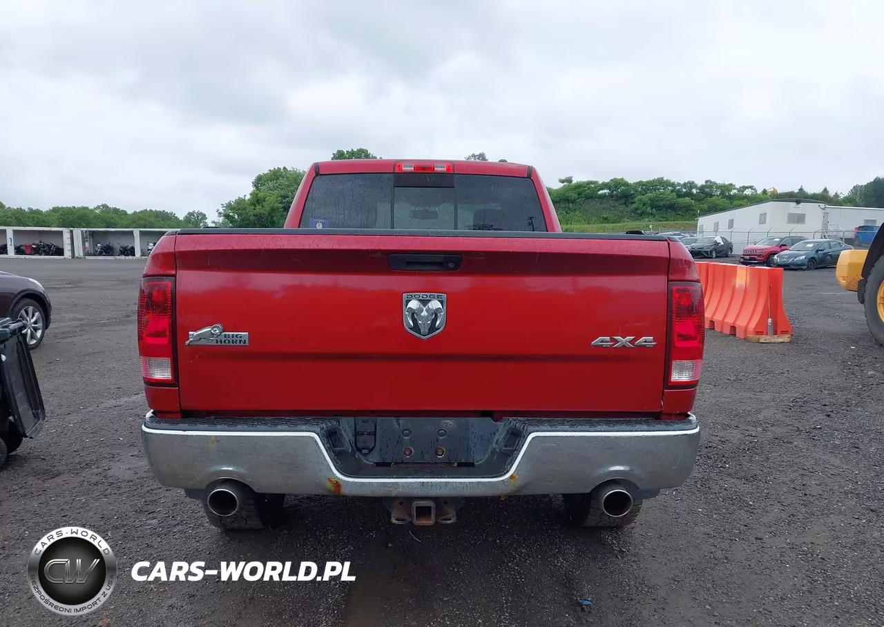 2010 Dodge Ram 1500 Slt-Sport-Trx VIN:1D7RV1GT1AS145574 - 16