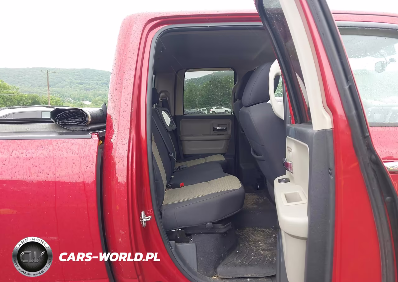 2010 Dodge Ram 1500 Slt-Sport-Trx VIN:1D7RV1GT1AS145574 - 8