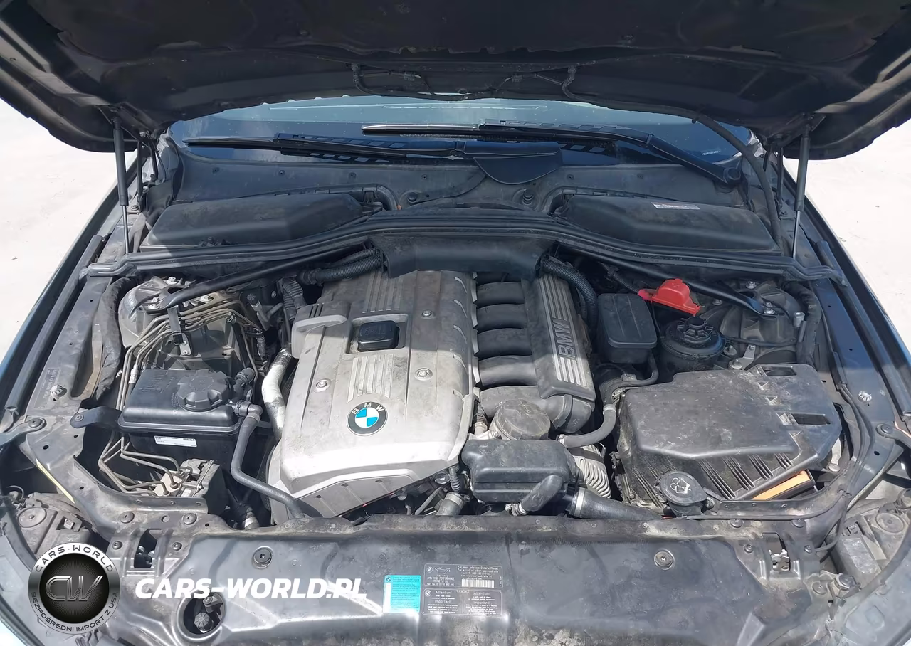 2006 BMW 530I VIN:WBANE73546CM37141 - 10