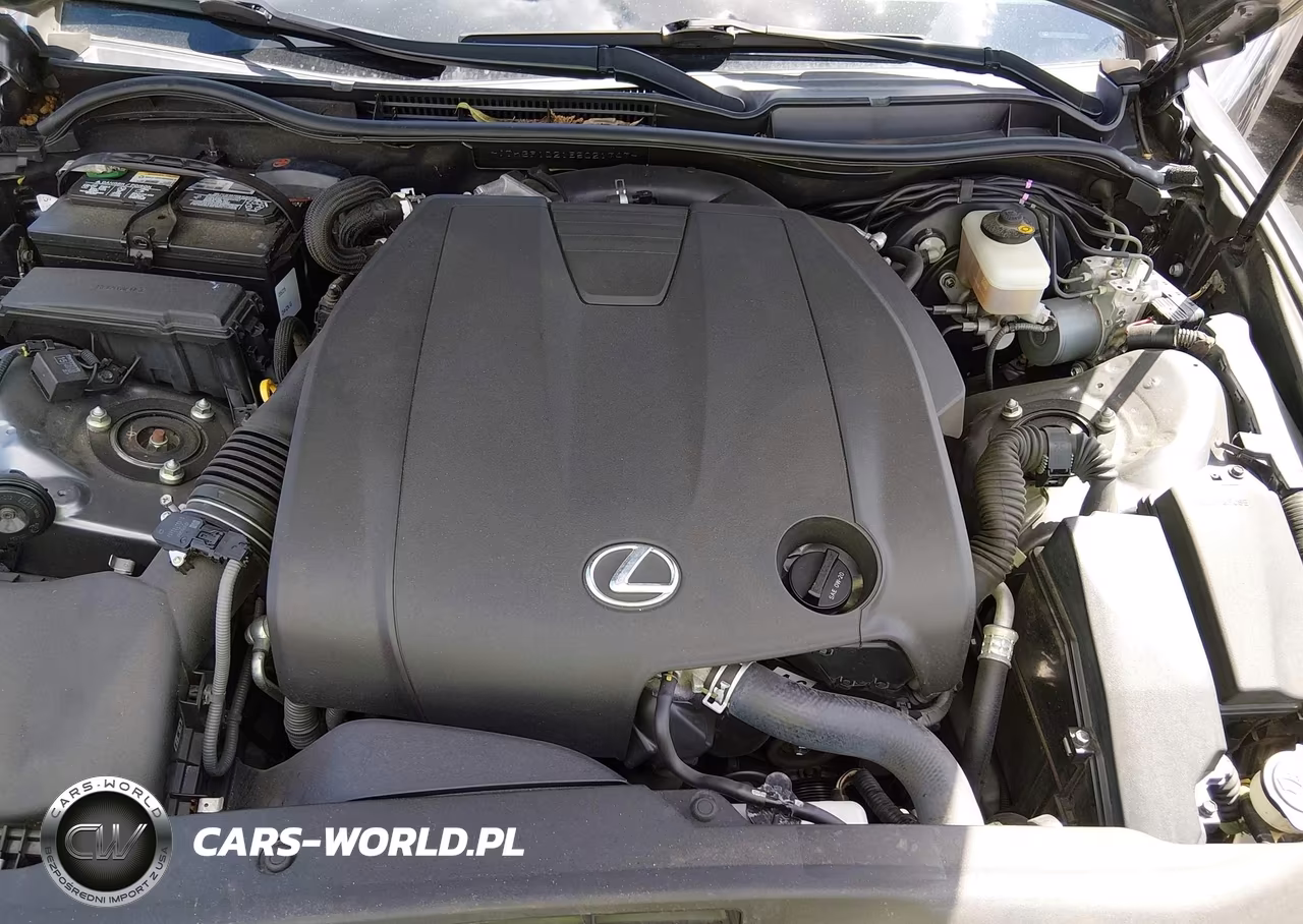 2014 Lexus Is 250 VIN:JTHBF1D21E5021747 - 10