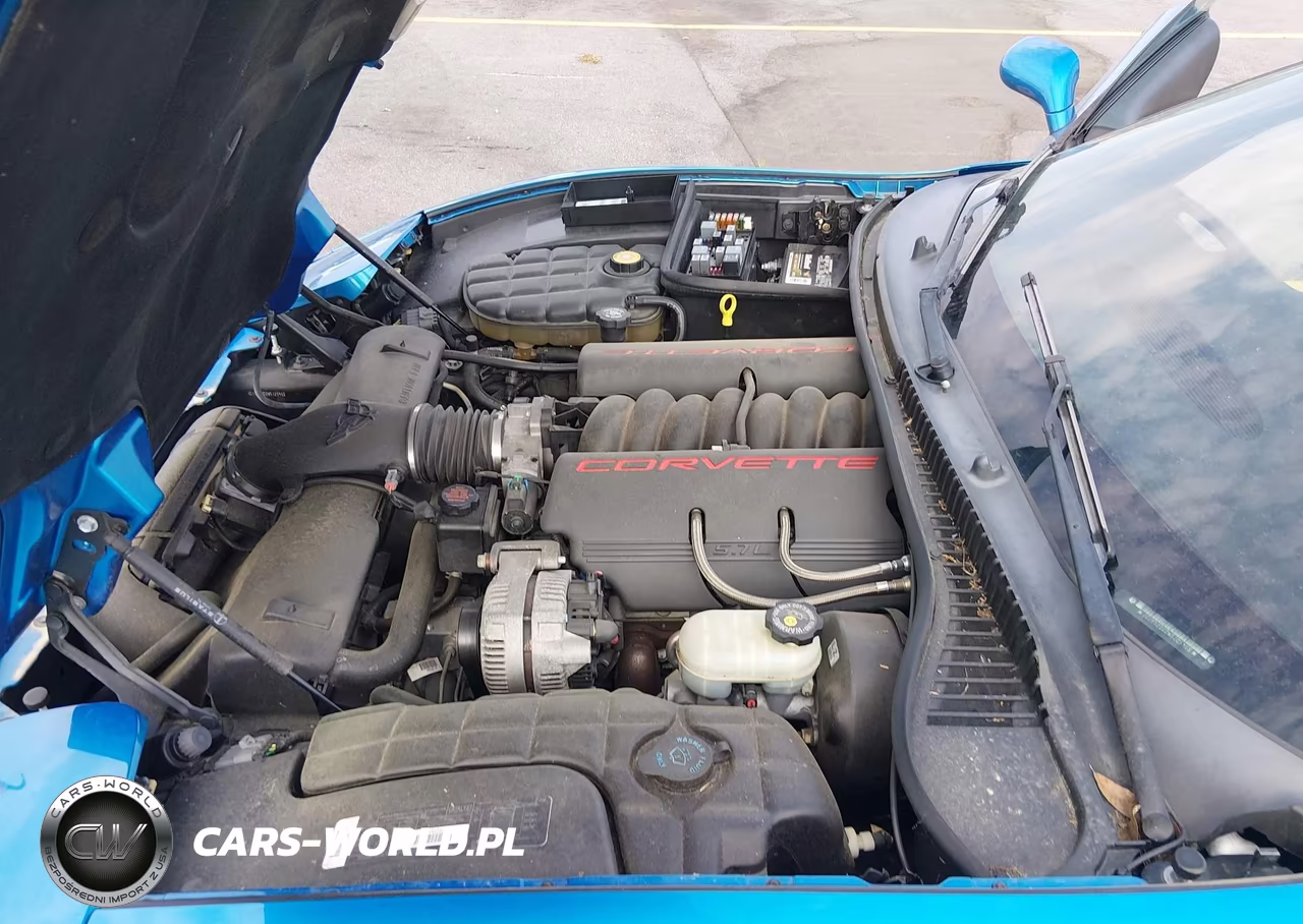 1998 Chevrolet Corvette VIN:1G1YY22G2W5125958 - 10