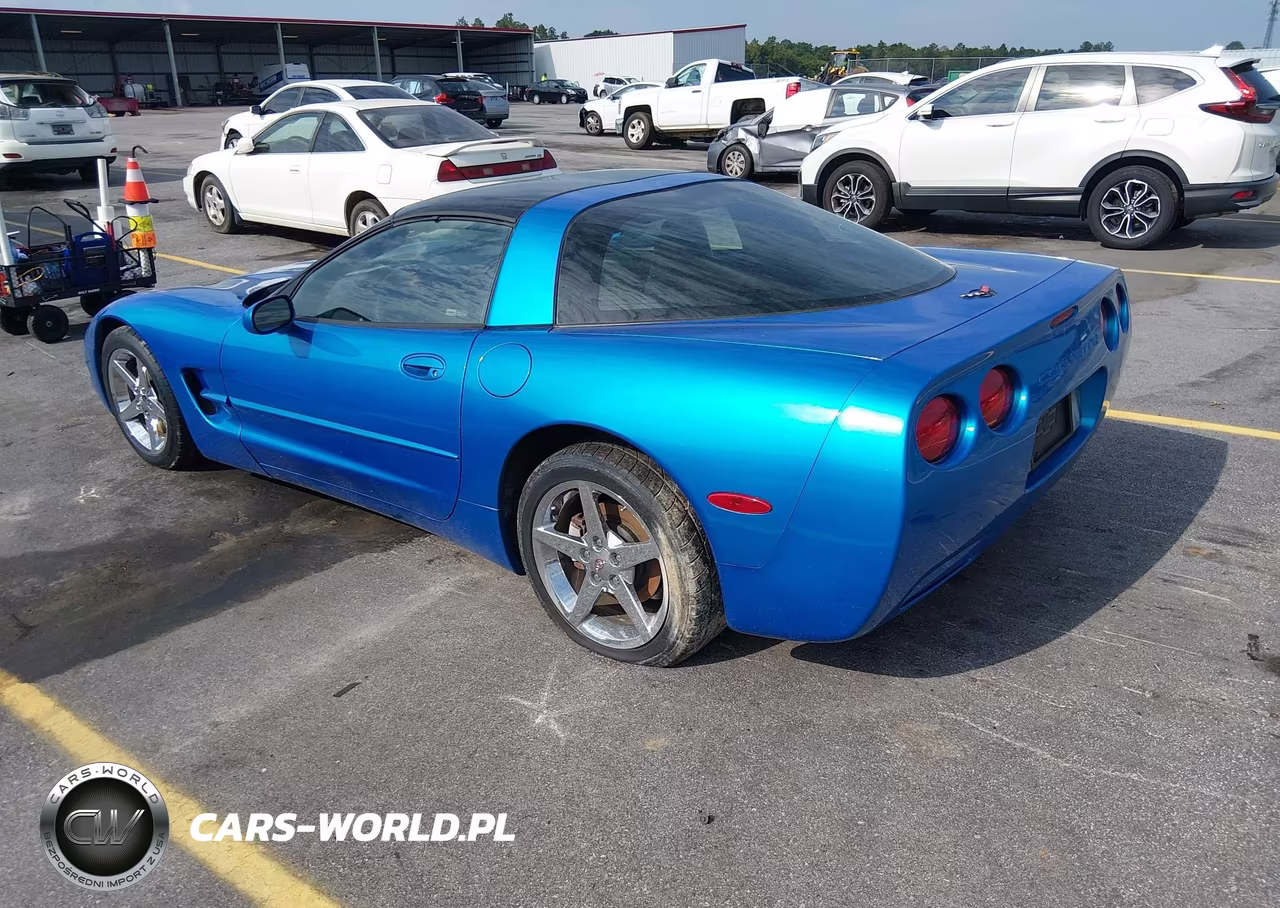 1998 Chevrolet Corvette VIN:1G1YY22G2W5125958 - 3