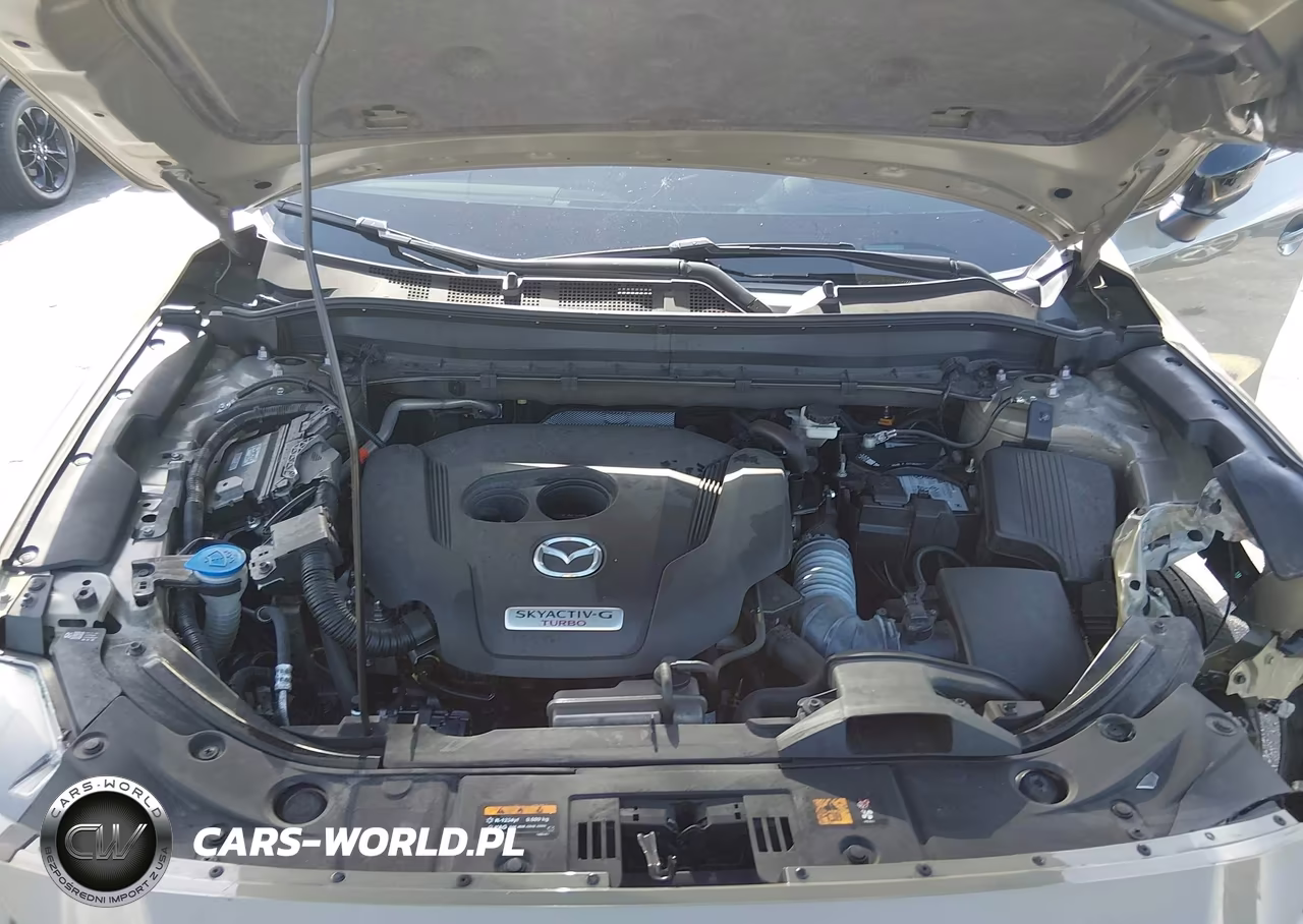 2024 Mazda Cx-5 2.5 Carbon Turbo VIN:JM3KFBAYXR0513249 - 10