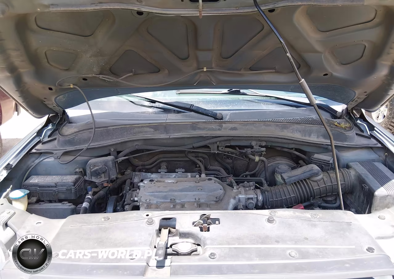 2006 Honda Pilot Ex-L VIN:5FNYF28576B045671 - 10