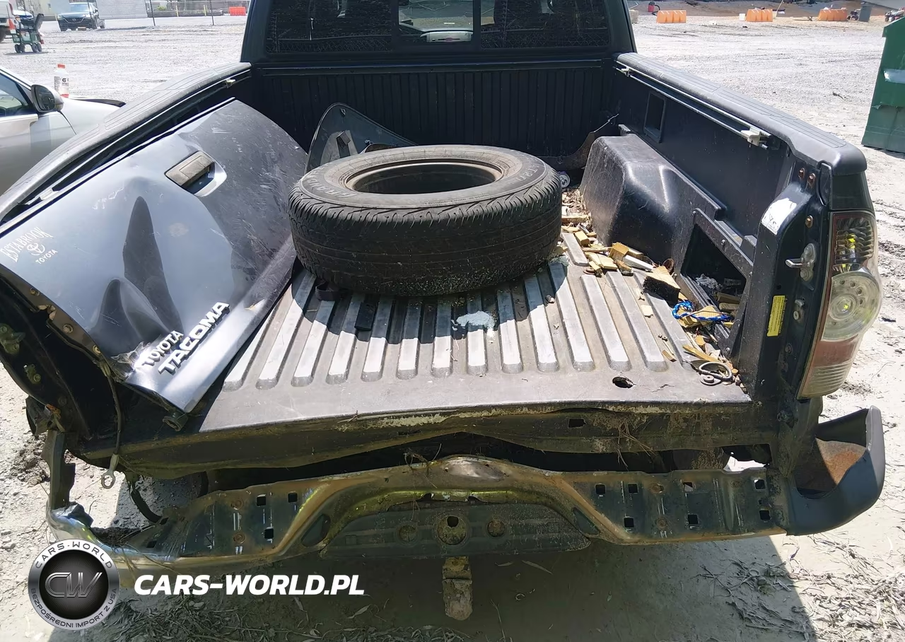2010 Toyota Tacoma Prerunner V6 VIN:5TETU4GN0AZ695124 - 17