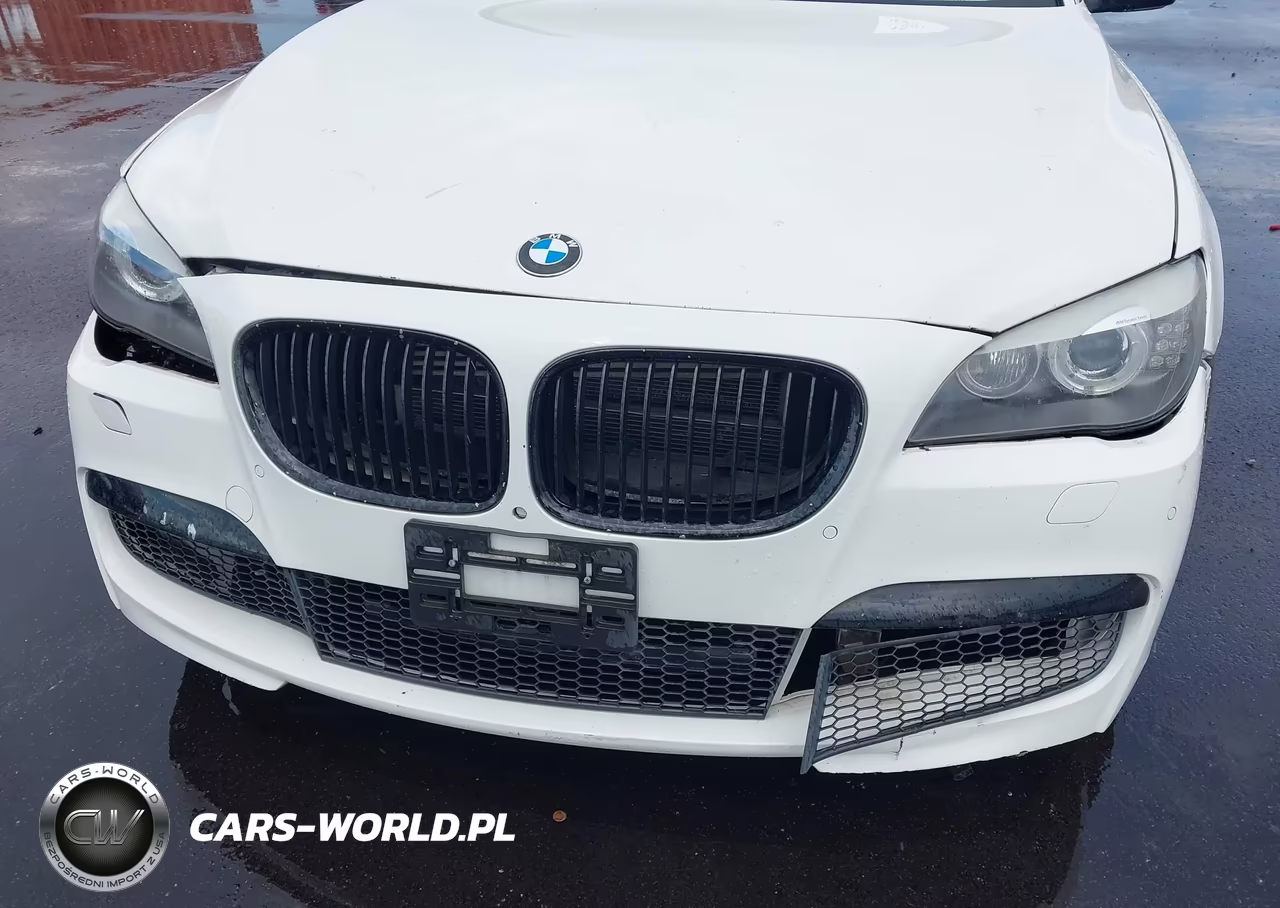 2010 BMW 750Li VIN:WBAKB8C59ACY62994 - 6