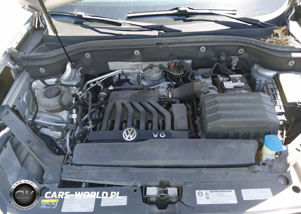 2019 Volkswagen Atlas 3.6L V6 Se W-Technology VIN:1V2UR2CA8KC550179 - 10