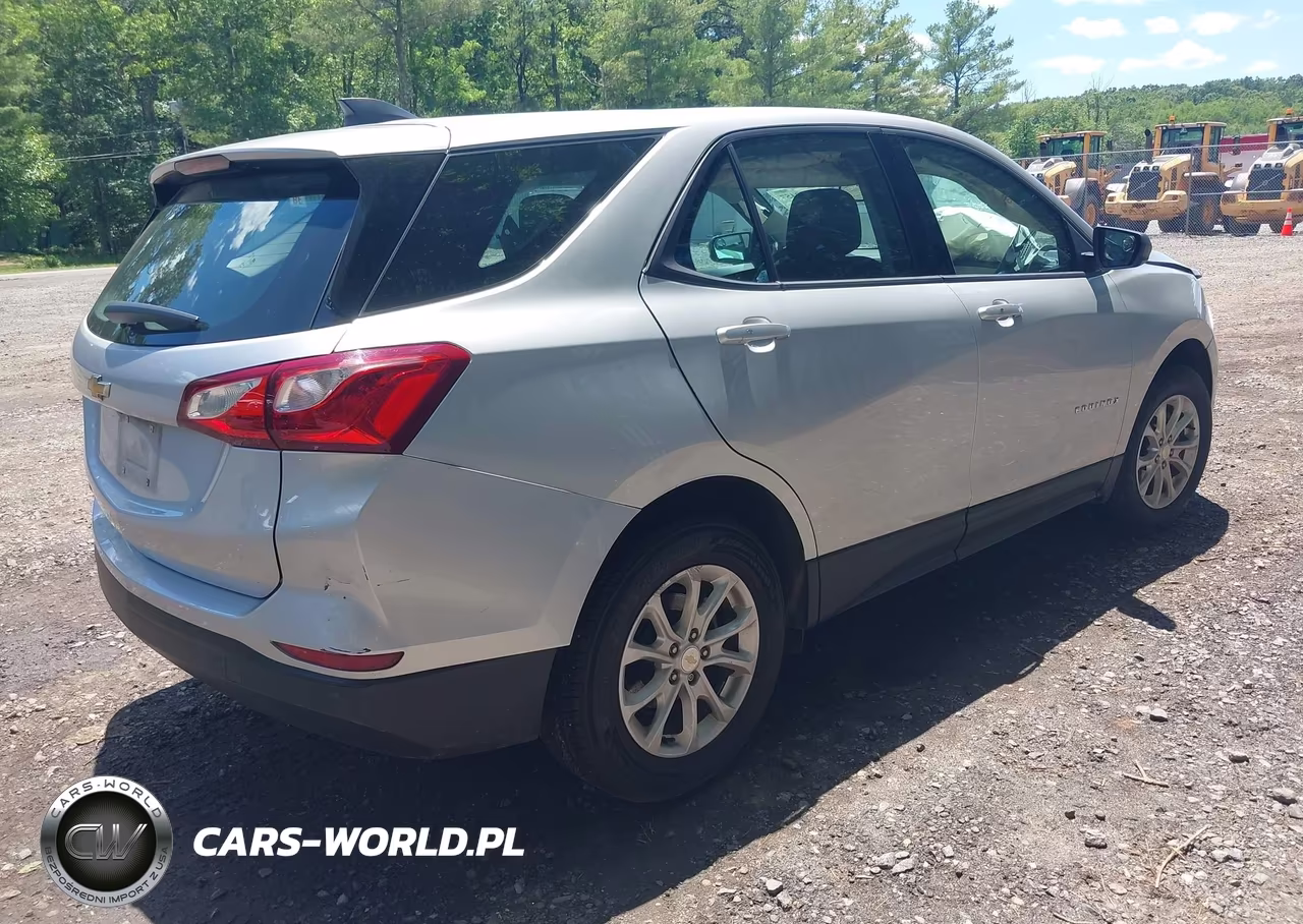 2019 Chevrolet Equinox L VIN:3GNAXGEV9KS641888 - 4