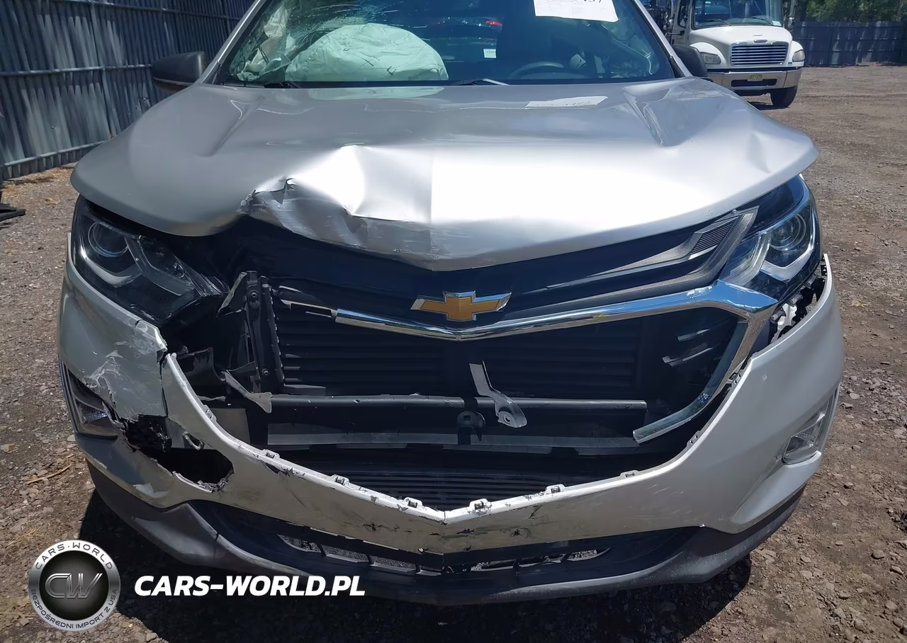 2019 Chevrolet Equinox L VIN:3GNAXGEV9KS641888 - 6