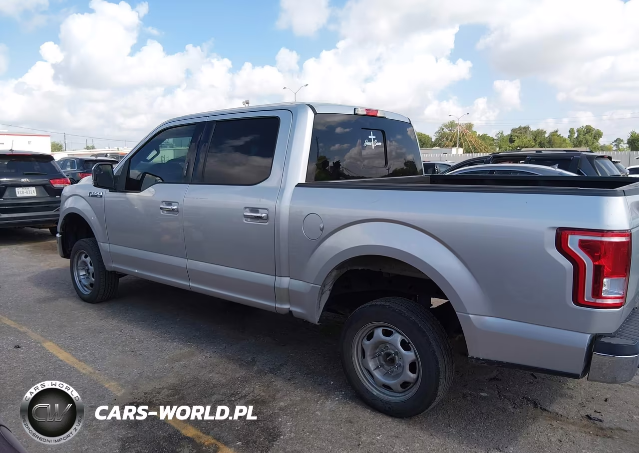 2015 Ford F-150 Xlt VIN:1FTEW1E88FFA53902 - 15