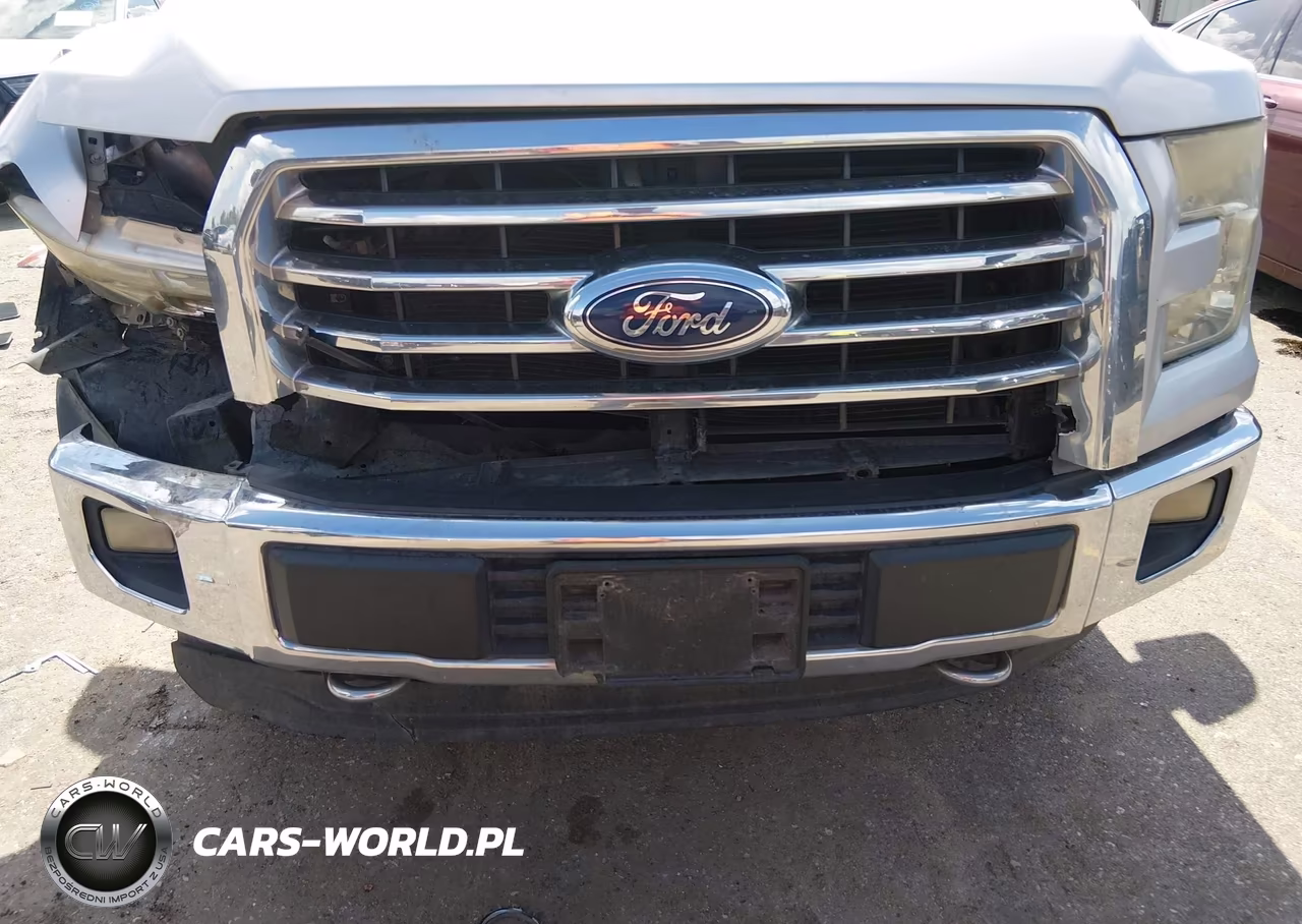 2015 Ford F-150 Xlt VIN:1FTEW1E88FFA53902 - 6