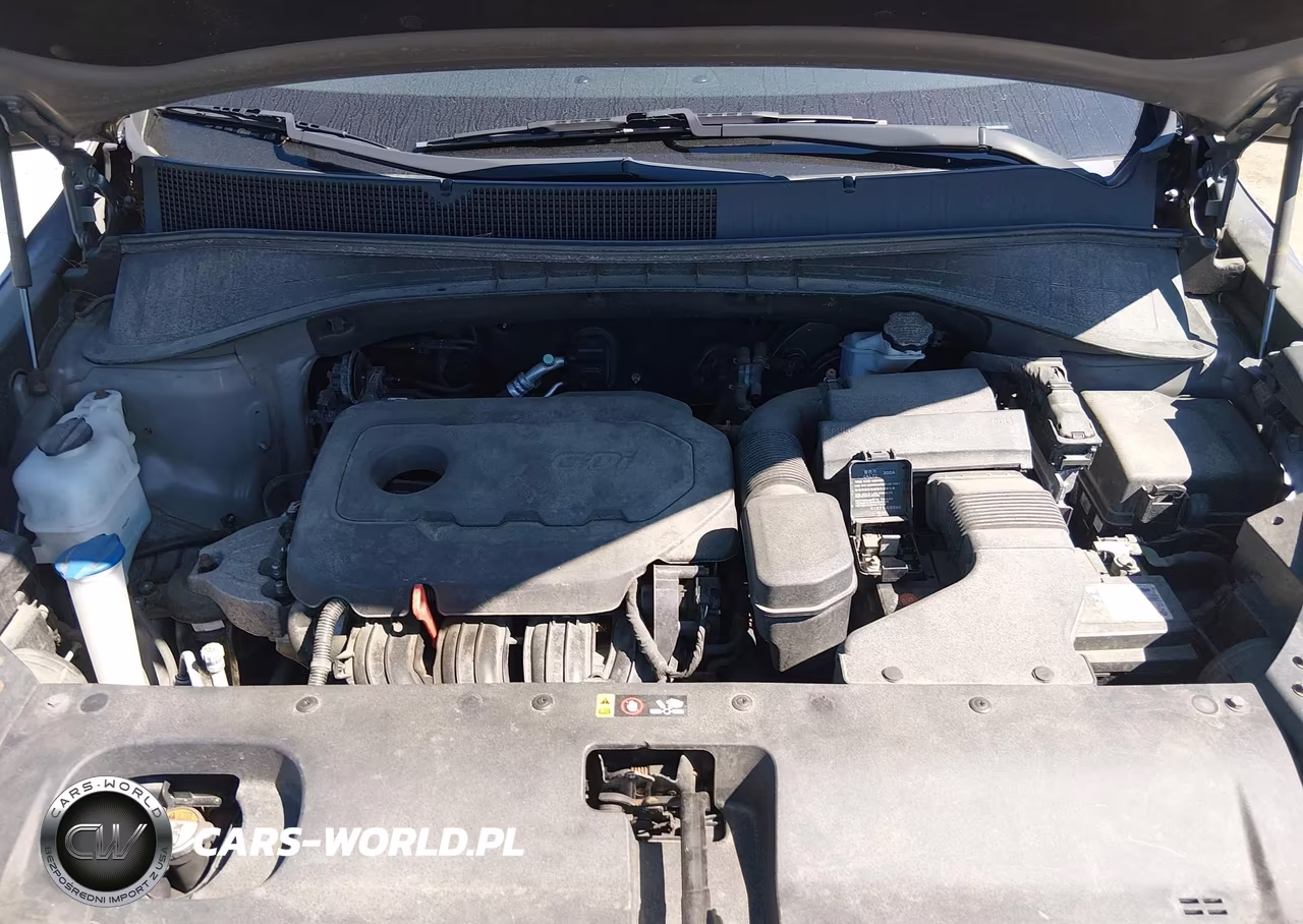 2016 Kia Sorento 2.4L Lx VIN:5XYPGDA39GG056467 - 10