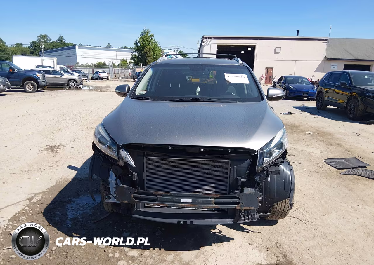 2016 Kia Sorento 2.4L Lx VIN:5XYPGDA39GG056467 - 13