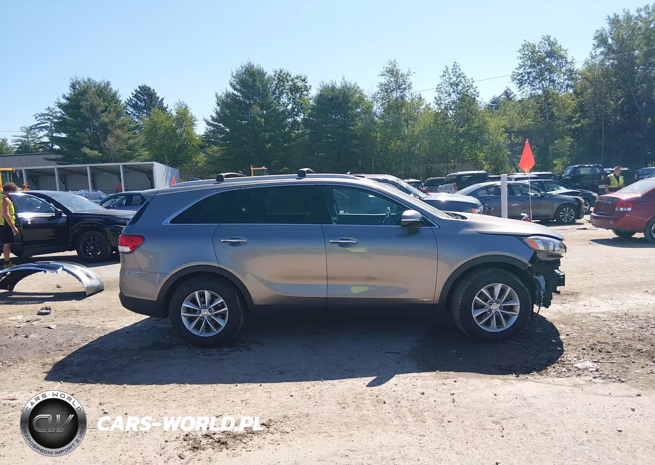 2016 Kia Sorento 2.4L Lx VIN:5XYPGDA39GG056467 - 14