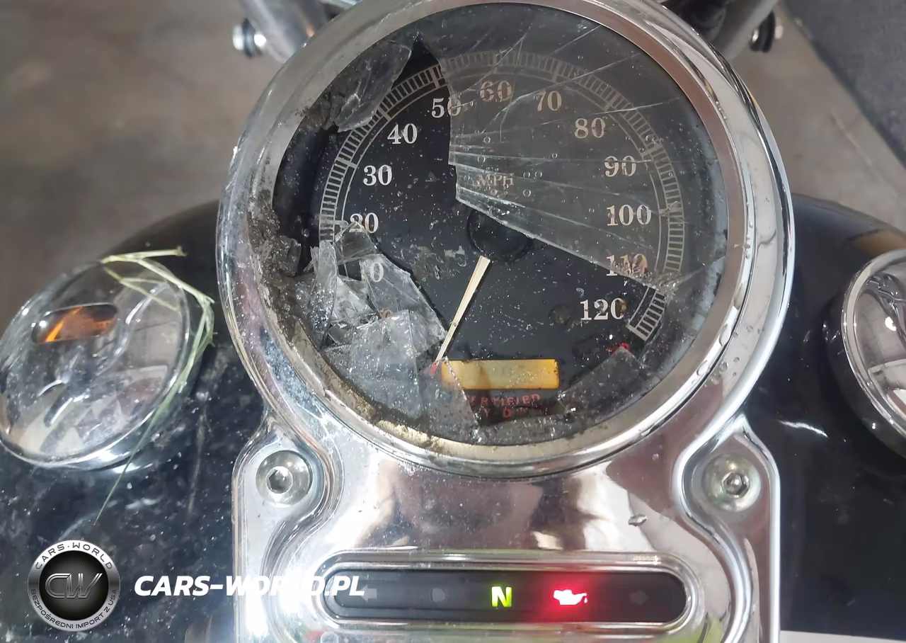 2004 Harley-Davidson Fxdwgi VIN:1HD1GPW104K310134 - 7