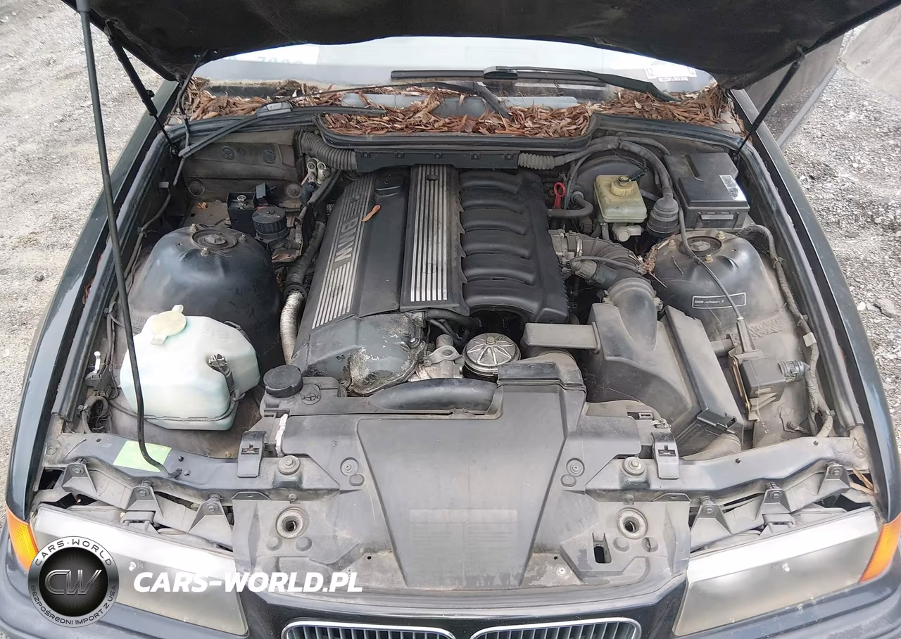 1994 BMW 325 Is VIN:WBABF3328REF48091 - 10