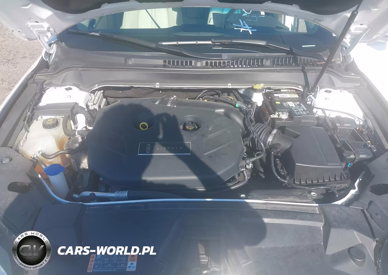 2020 Lincoln Mkz Standard VIN:3LN6L5A92LR622059 - 10