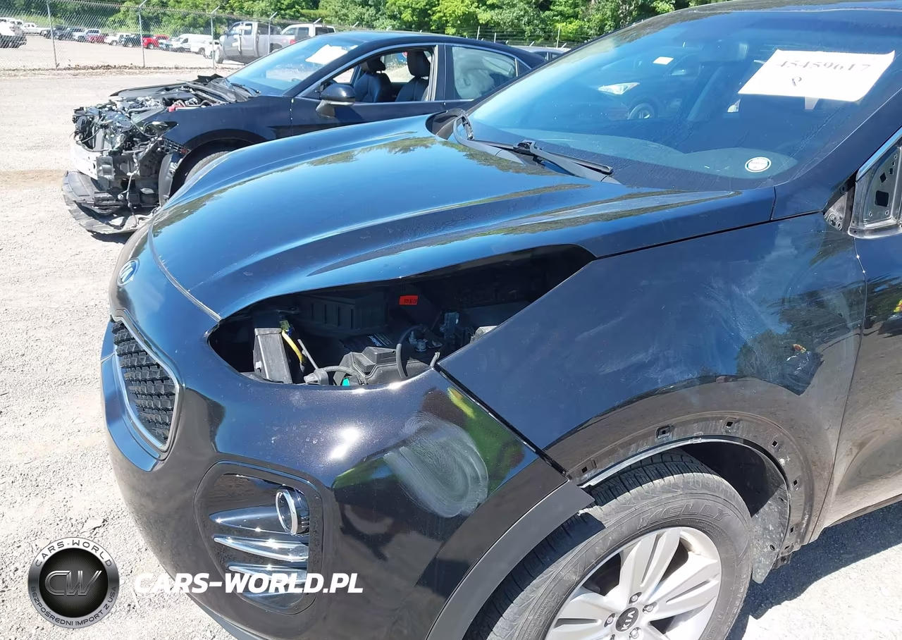 2019 Kia Sportage Lx VIN:KNDPMCAC8K7574711 - 6