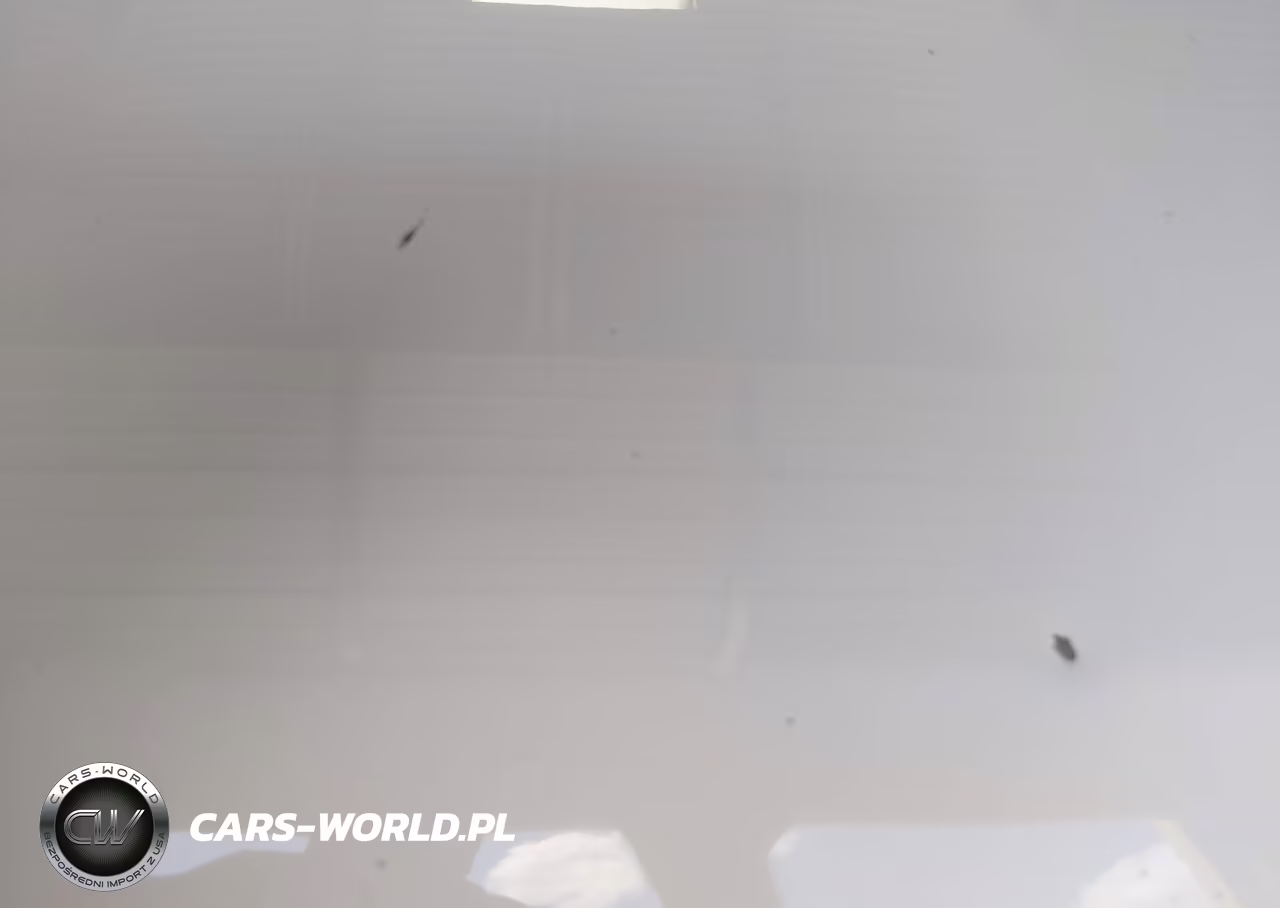 2021 Ford Transit-150 Passenger Van Xl-Xlt VIN:1FMZK1Y89MKA95598 - 16