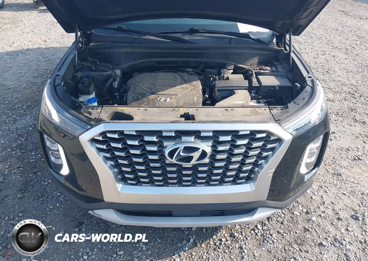 2020 Hyundai Palisade Sel VIN:KM8R24HE9LU163005 - 10