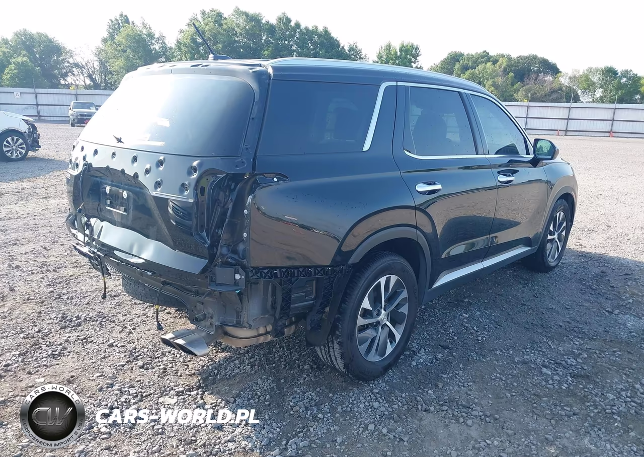 2020 Hyundai Palisade Sel VIN:KM8R24HE9LU163005 - 4