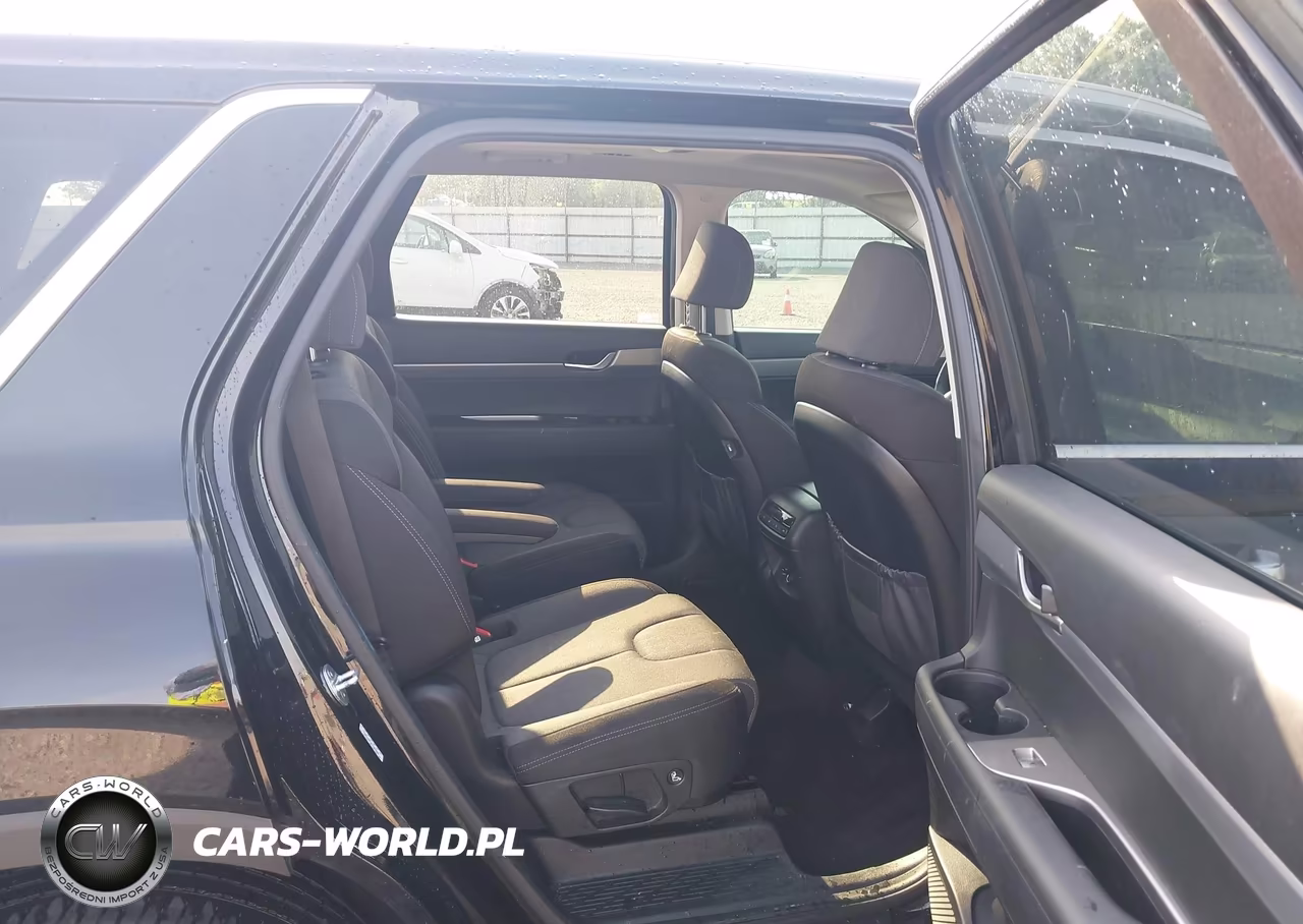2020 Hyundai Palisade Sel VIN:KM8R24HE9LU163005 - 8