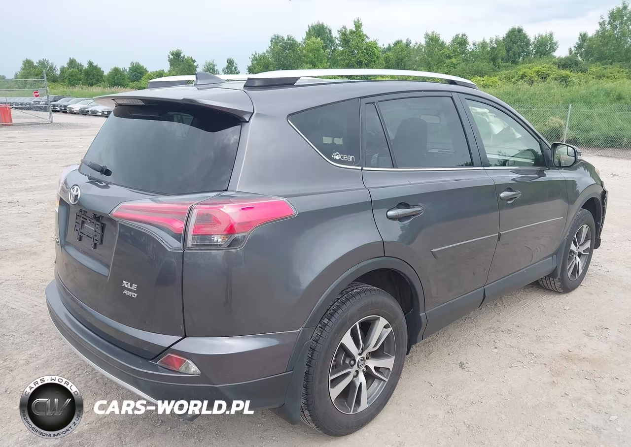 2016 Toyota Rav4 Xle VIN:JTMRFREV4GJ094161 - 4