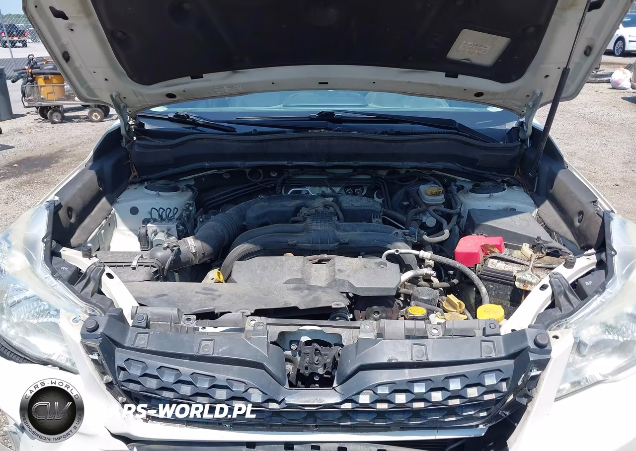 2015 Subaru Forester 2.5I Premium VIN:JF2SJADC6FH815489 - 10
