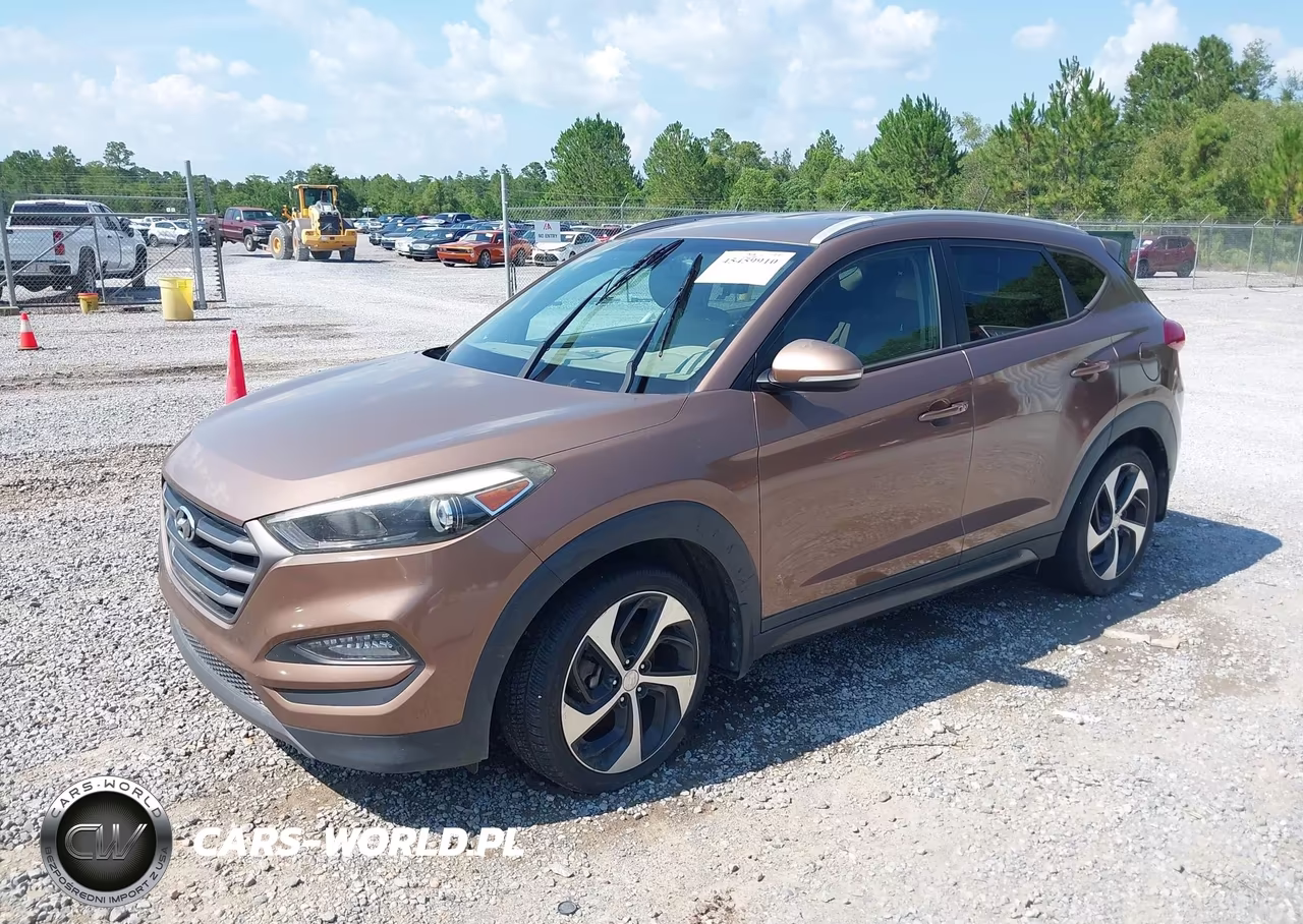 2016 Hyundai Tucson Sport VIN:KM8J33A26GU077564 - 2