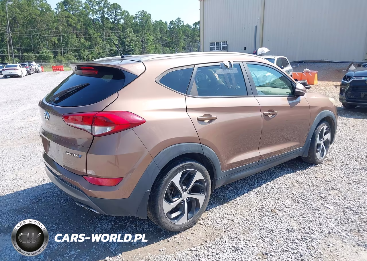 2016 Hyundai Tucson Sport VIN:KM8J33A26GU077564 - 4