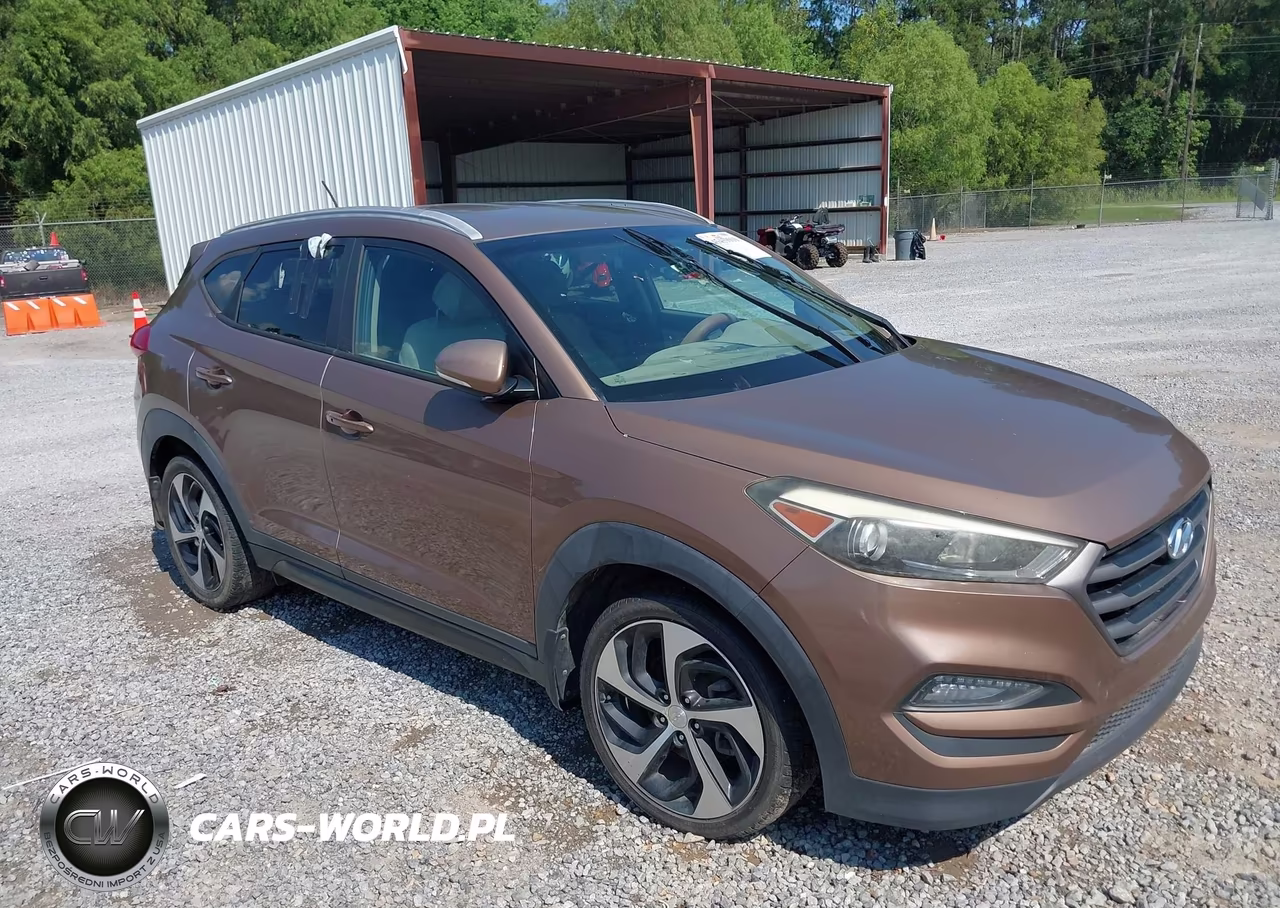 2016 Hyundai Tucson Sport VIN:KM8J33A26GU077564 - 6