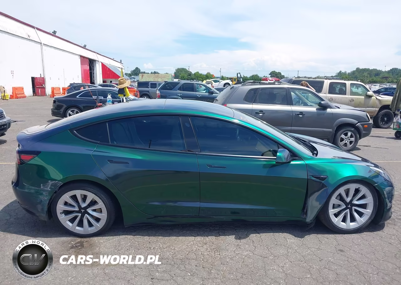 2022 Tesla Model 3 Long Range Dual Motor All-Wheel Drive VIN:5YJ3E1EB2NF276879 - 13