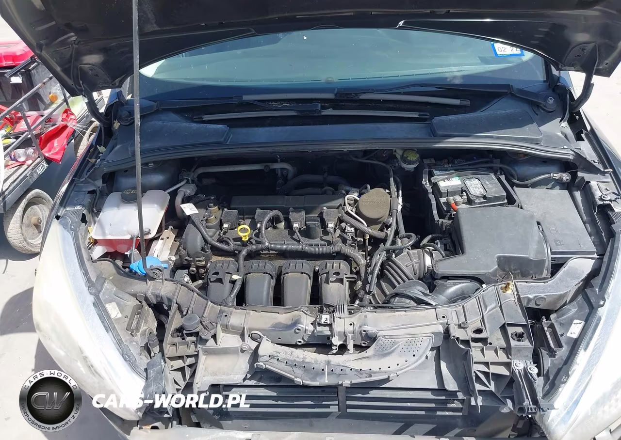 2016 Ford Focus Se VIN:1FADP3F25GL215895 - 10