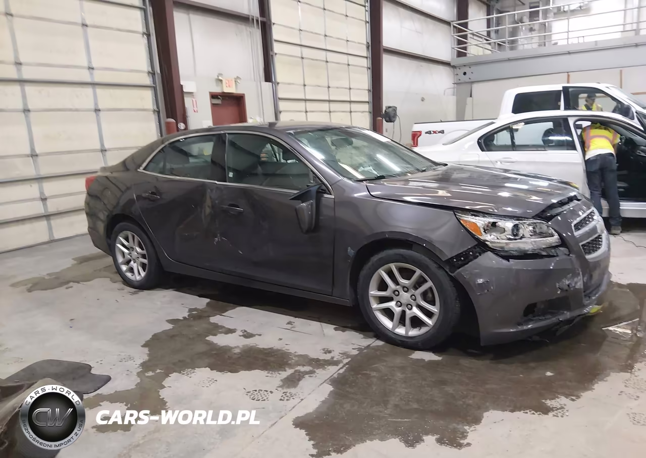 2013 Chevrolet Malibu Eco VIN:1G11D5RR9DF108569 - 13