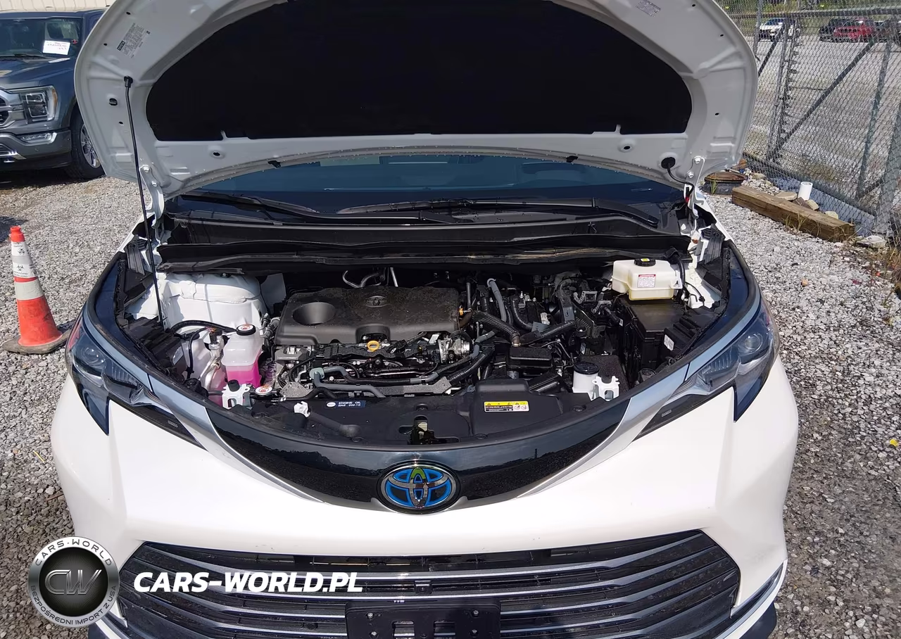 2025 Toyota Sienna Platinum VIN:5TDERKECXSS254101 - 10