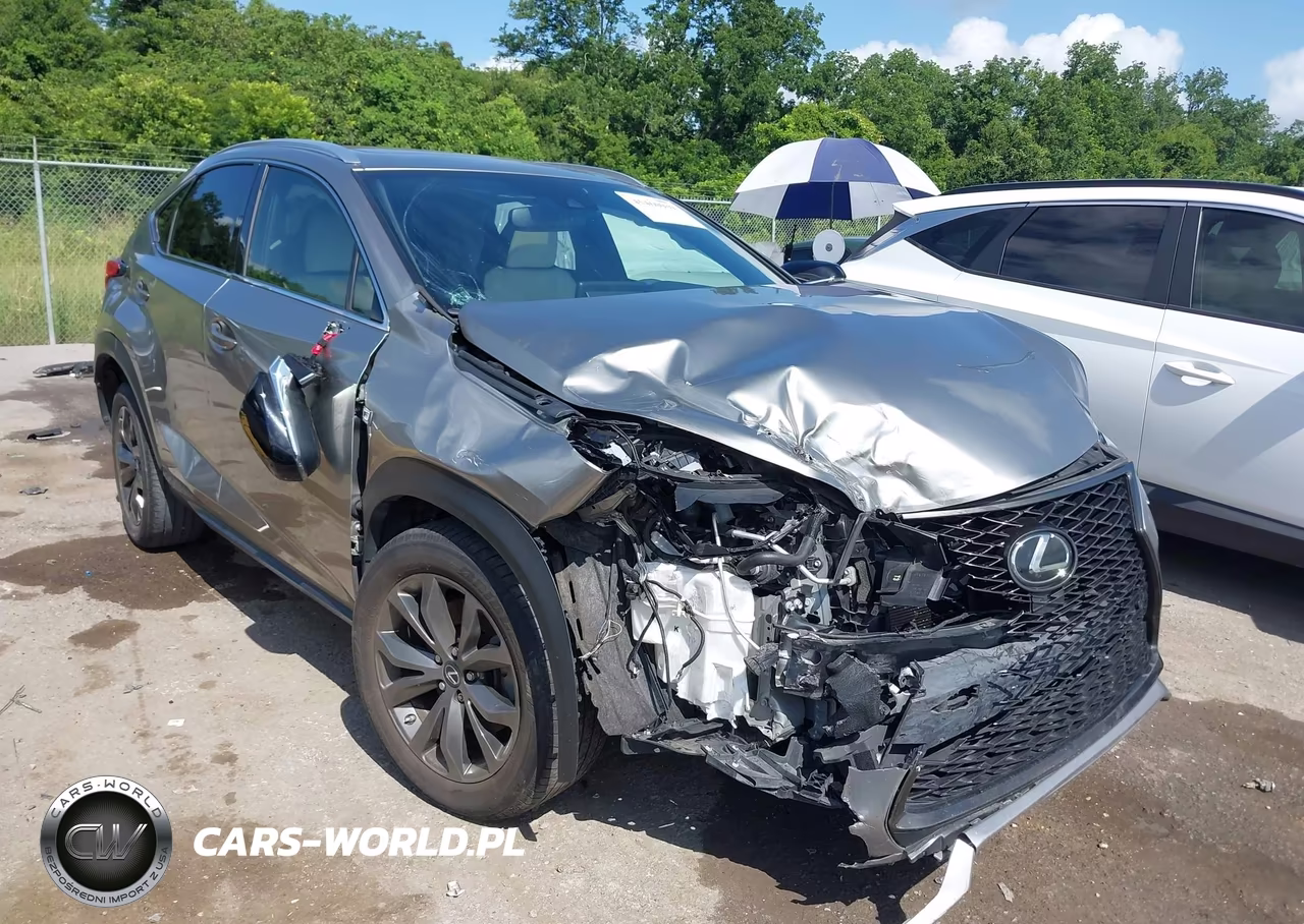 2021 Lexus Nx 300 F Sport