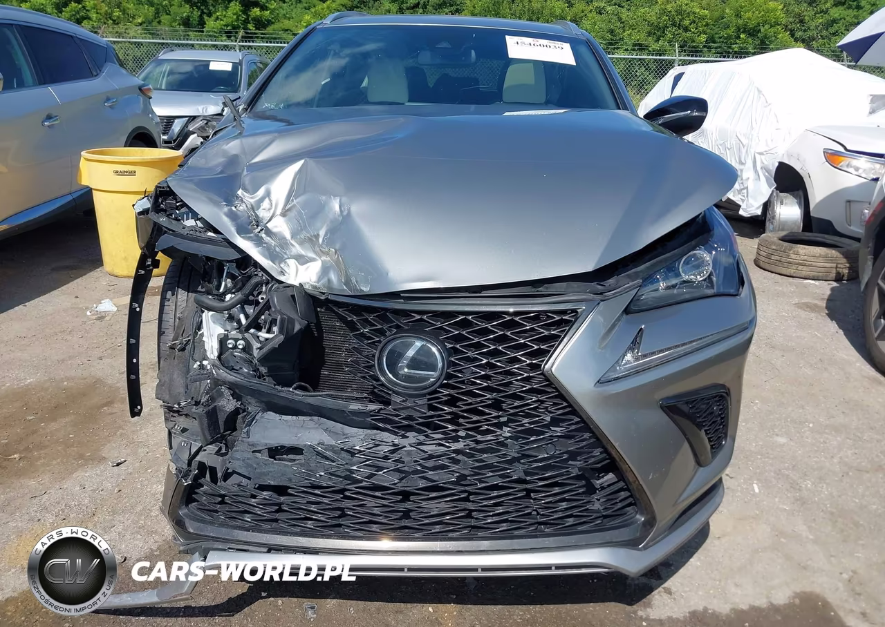 2021 Lexus Nx 300 F Sport VIN:JTJSARBZ2M5022187 - 12