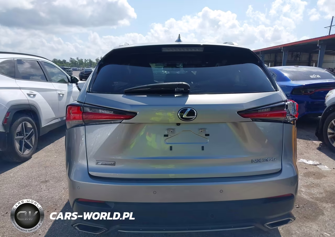 2021 Lexus Nx 300 F Sport VIN:JTJSARBZ2M5022187 - 16