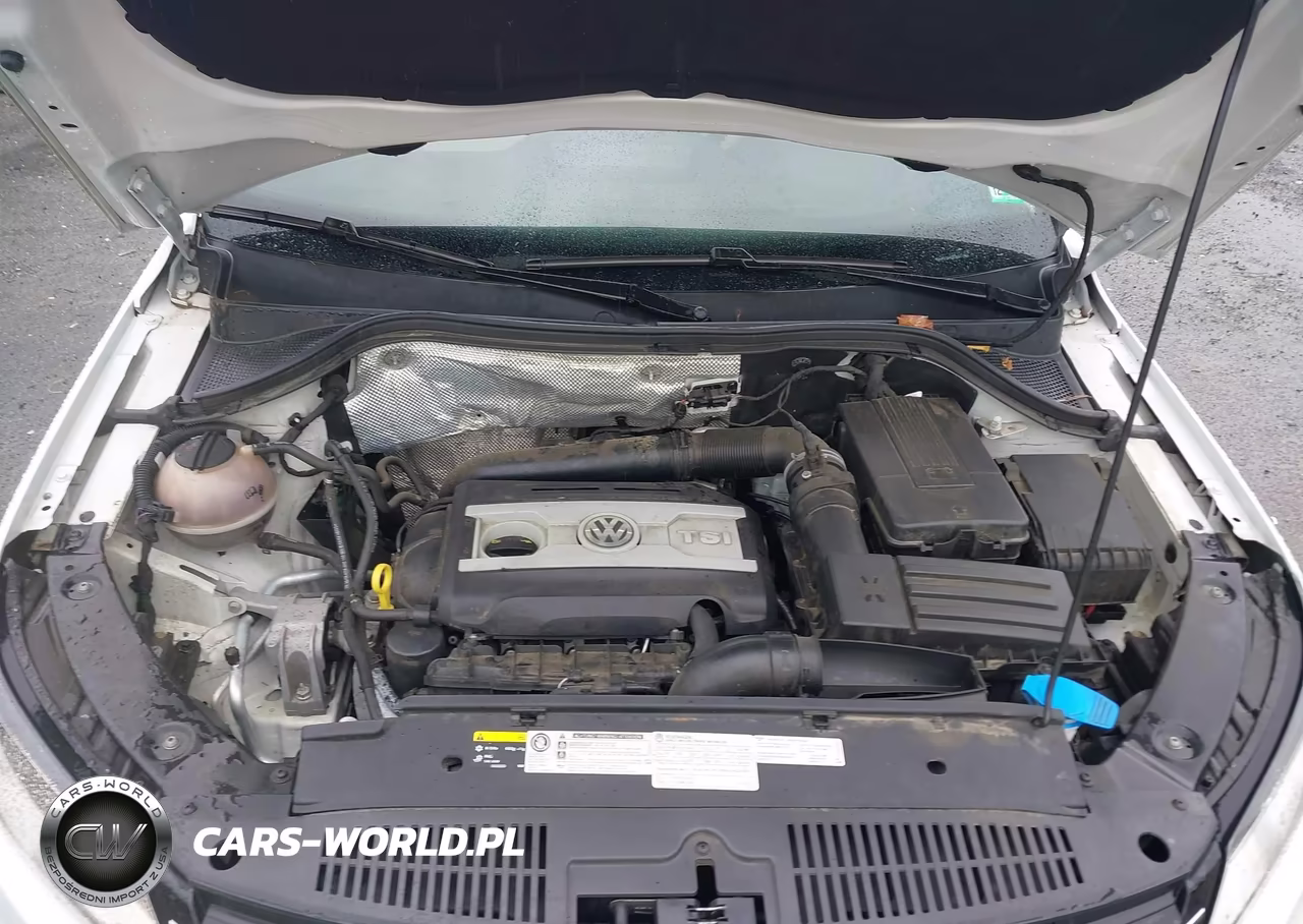 2014 Volkswagen Tiguan Se VIN:WVGAV3AX9EW621286 - 10