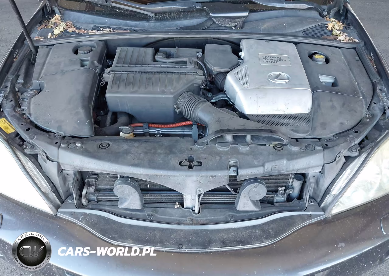 2006 Lexus Rx 400H VIN:JTJHW31U760003911 - 10