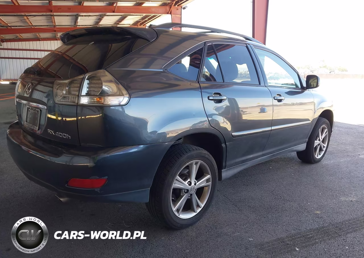 2006 Lexus Rx 400H VIN:JTJHW31U760003911 - 6