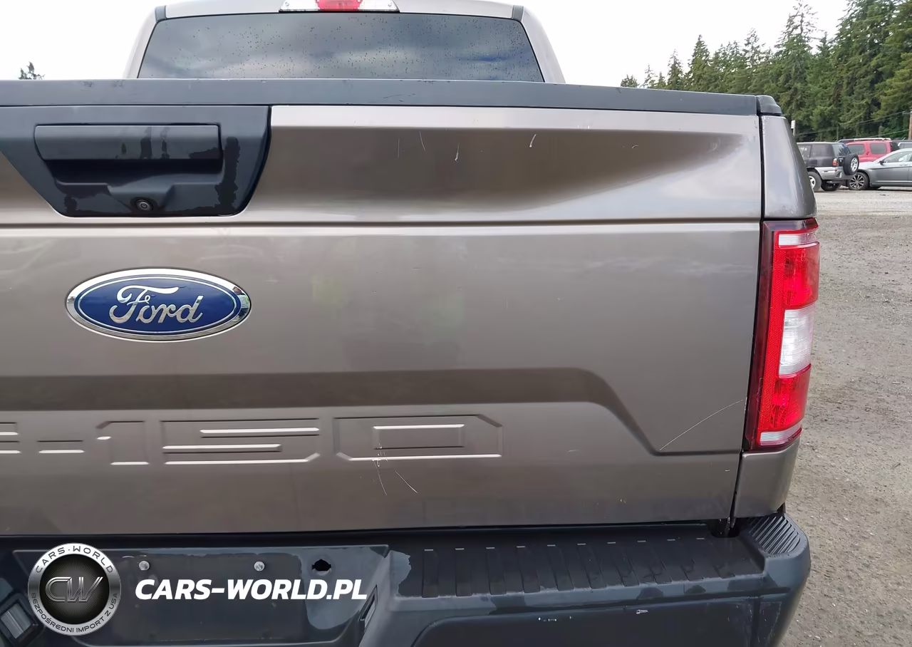 2020 Ford F-150 Xl-Xlt VIN:1FTEW1EB5LKF21177 - 13