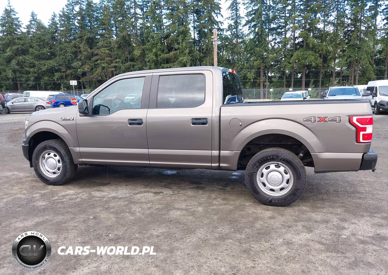 2020 Ford F-150 Xl-Xlt VIN:1FTEW1EB5LKF21177 - 16