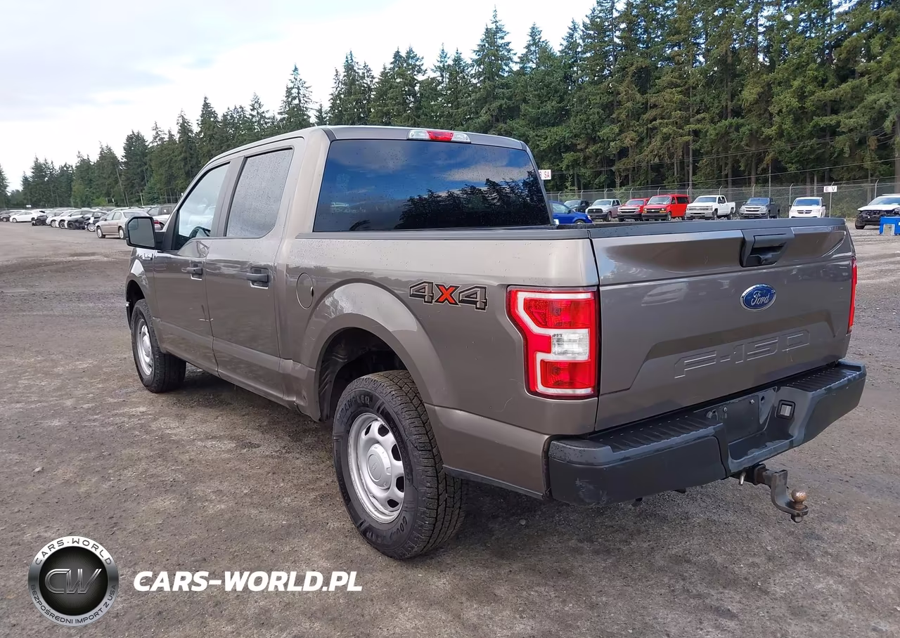 2020 Ford F-150 Xl-Xlt VIN:1FTEW1EB5LKF21177 - 3