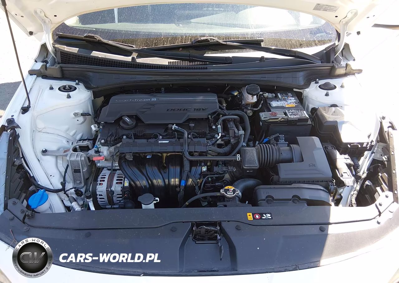 2021 Hyundai Elantra Sel VIN:5NPLM4AG7MH048334 - 10